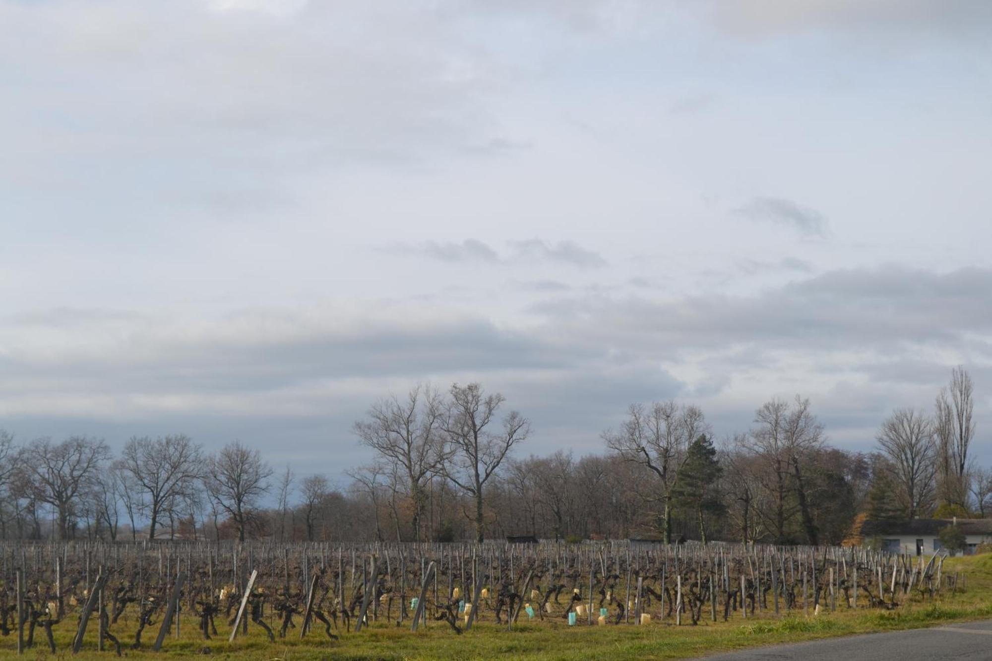 Maison Bertineau Proche Saint-Emilion Néac Kültér fotó